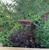 Bulk Packs of Copper Plant Tags for Gardens and Plants