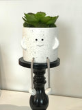 Happy Feet Flower Pot