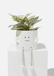 Happy Feet Flower Pot